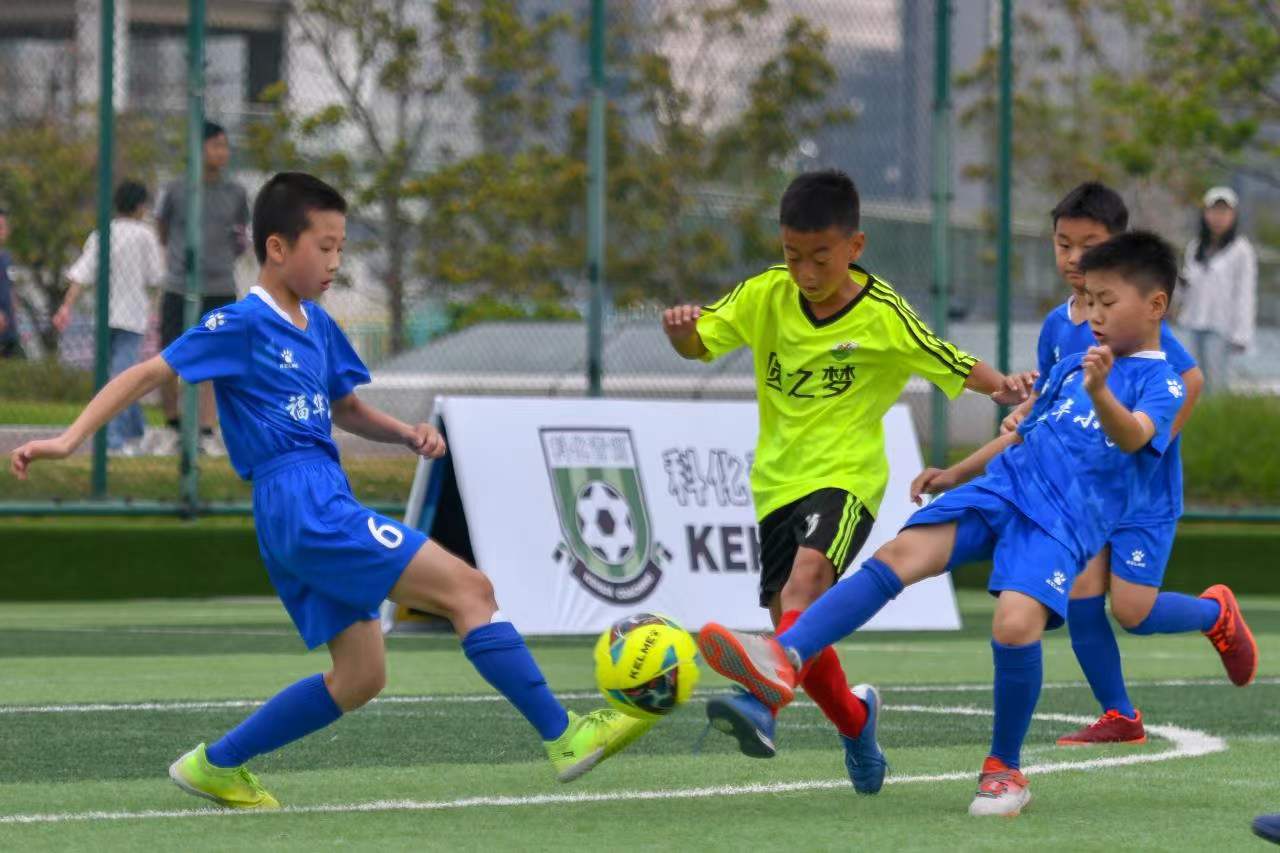 11轮比赛 11轮比赛